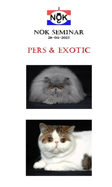 Pers_exo.png